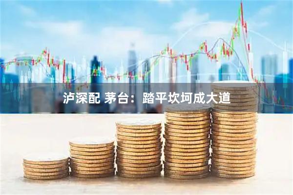 泸深配 茅台：踏平坎坷成大道