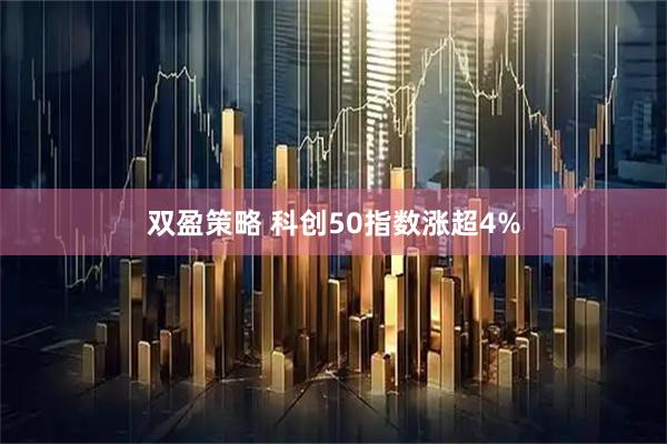 双盈策略 科创50指数涨超4%